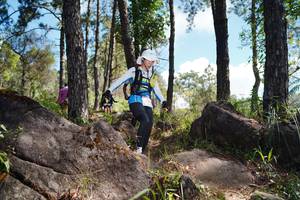 BIB: 
                            <button type="button" onclick="openModal(18947180)" class="btn btn-primary btn-sm float-right btn-popup" data-toggle="modal" data-target=".modal-high-quality">
                        <i class="fas fa-shopping-cart"></i> Add to Cart
                    </button>
                                            <button type="button" onclick="isThisMe(18947180, true)" class="btn btn-success btn-sm float-right btn-popup btn-isme hidden" data-toggle="tooltip" data-placement="bottom" title="นี่คือรูปของคุณใช่ไหม คลิกที่นี่เพื่อเอาเข้าอัลบั้ม">
                        <i class="fas fa-plus"></i> Add to album
                    </button>
                    <button type="button" onclick="isThisMe(18947180, false)" class="btn btn-warning btn-sm float-right btn-popup btn-isnotme hidden">
                        <i class="fas fa-ban"></i> Remove from album
                    </button>